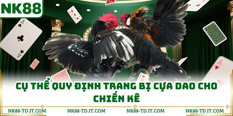 Cụ Thể Quy Định Trang Bị Cựa Dao Cho Chiến Kê